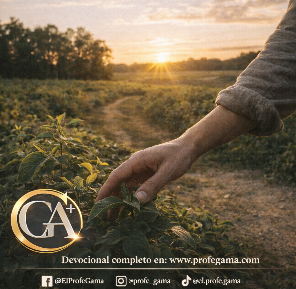 Autoridad que exige responsabilidad